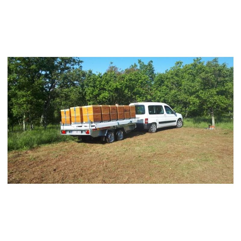 Hive transport platform Price Sale